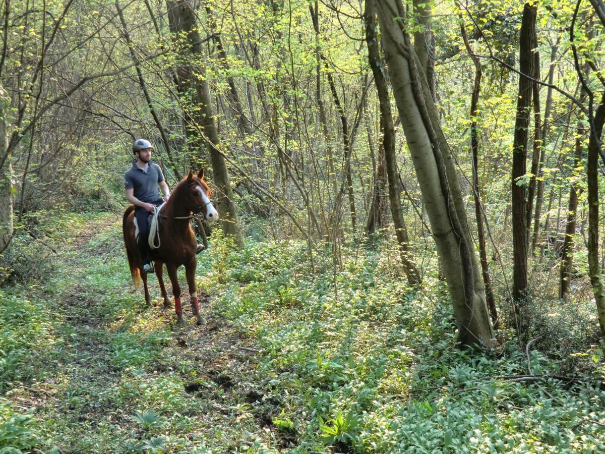 Ca Borgh Alojamento de Turismo Rural